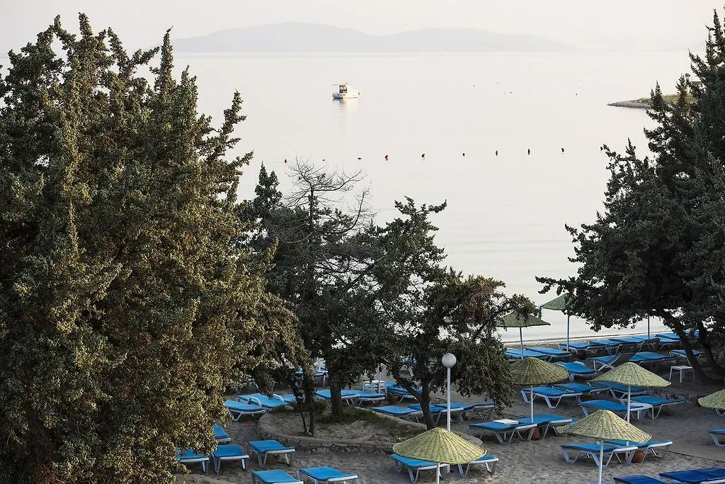 Altin Yunus Apart Beach Plus Aparthotel Çeşme Turchia