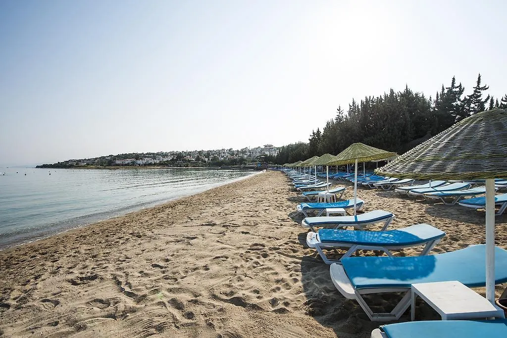 Altin Yunus Apart Beach Plus Aparthotel Çeşme 0*,  Turchia